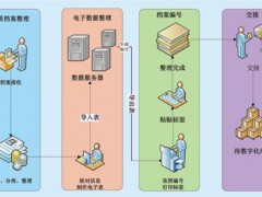 档案整理流程