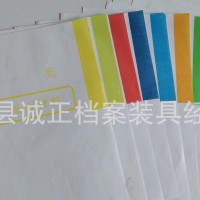 干部人事档案盒十大分类纸 隔页纸 一到十类 十种颜色 有大量