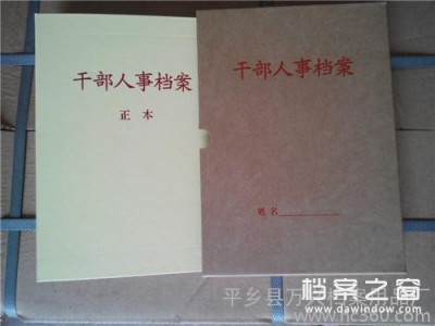 干部人事档案盒 干部履历表 十大类分类纸 分类角 散材料 干部档案目录