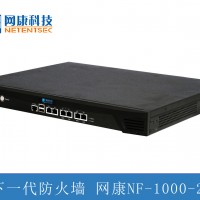 网康下一代防火墙 NF-1000-20 含一年服务  适用用户数600