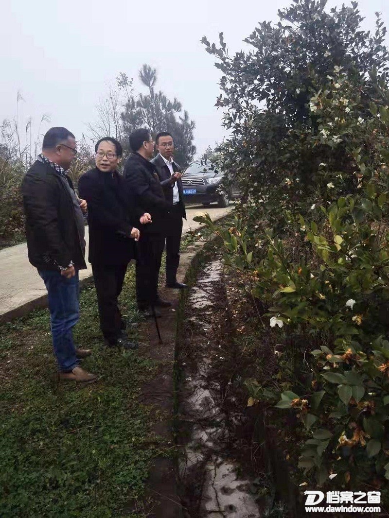 2.实地查看乐邦村油茶种植项目基地.jpg