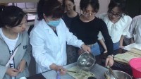 档案修复体验视频