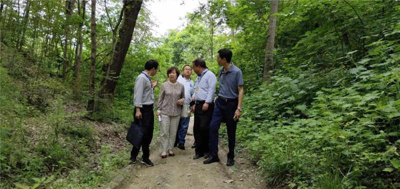 微信图片_20190610095250.jpg
