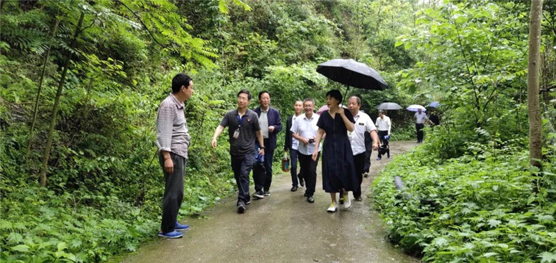 微信图片_20190620093005.jpg