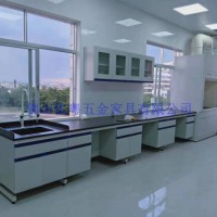 顺德实验室通风柜实验室实验台定制化学实验室仪器柜厂家